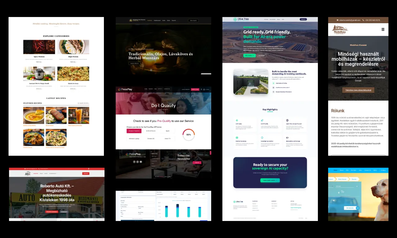 Milan Zeisler Portfolio Background